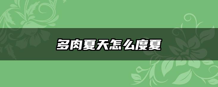 多肉夏天怎么度夏
