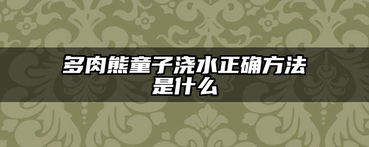 多肉熊童子浇水正确方法是什么
