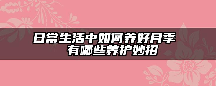 日常生活中如何养好月季 有哪些养护妙招