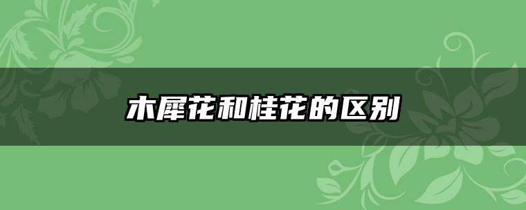 木犀花和桂花的区别