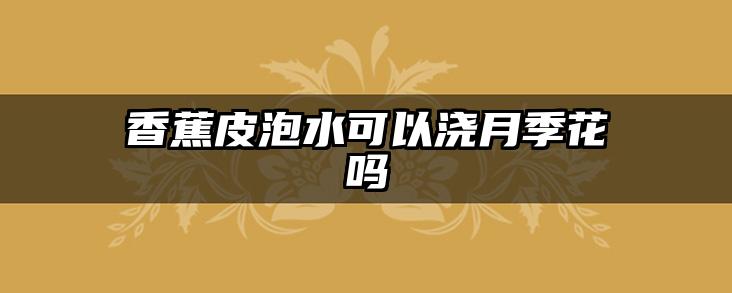 香蕉皮泡水可以浇月季花吗