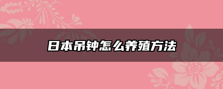 日本吊钟怎么养殖方法