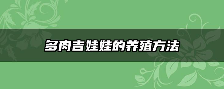 多肉吉娃娃的养殖方法