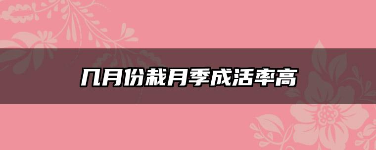 几月份栽月季成活率高