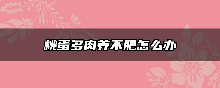 桃蛋多肉养不肥怎么办