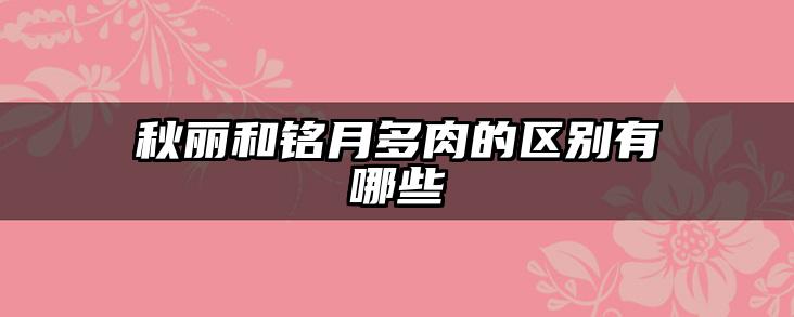 秋丽和铭月多肉的区别有哪些