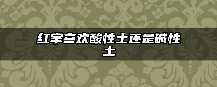 红掌喜欢酸性土还是碱性土