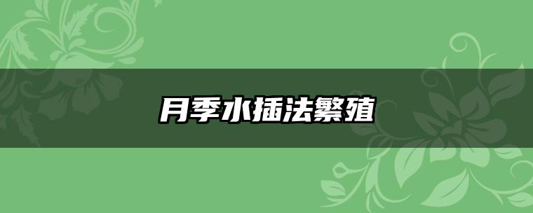 月季水插法繁殖