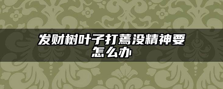 发财树叶子打蔫没精神要怎么办
