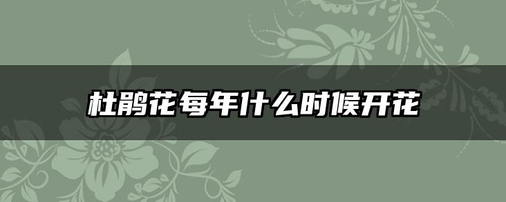 杜鹃花每年什么时候开花