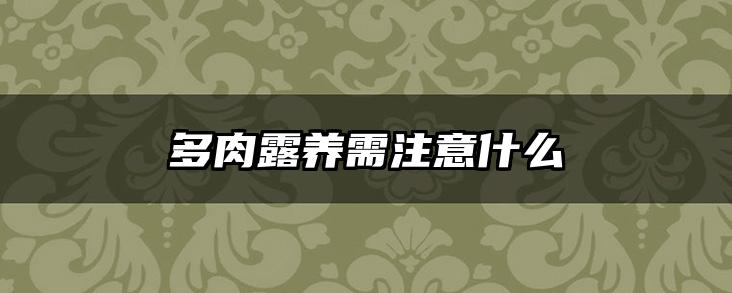 多肉露养需注意什么