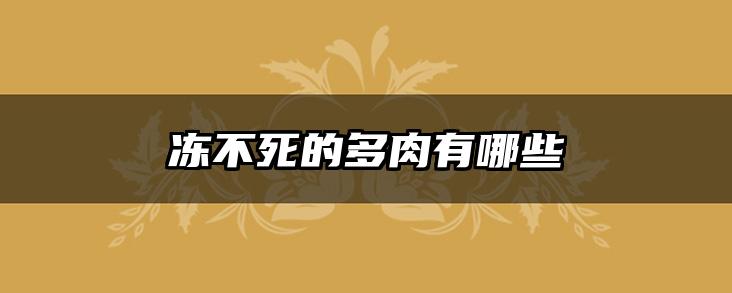 冻不死的多肉有哪些