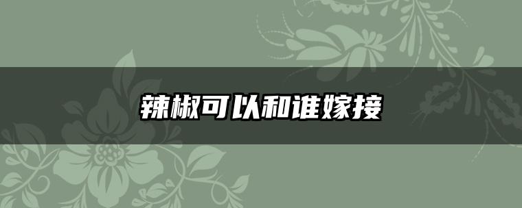 辣椒可以和谁嫁接