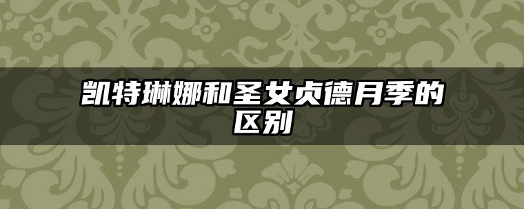 凯特琳娜和圣女贞德月季的区别