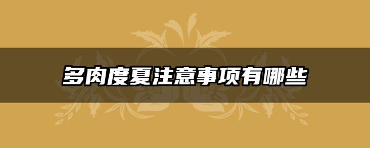 多肉度夏注意事项有哪些