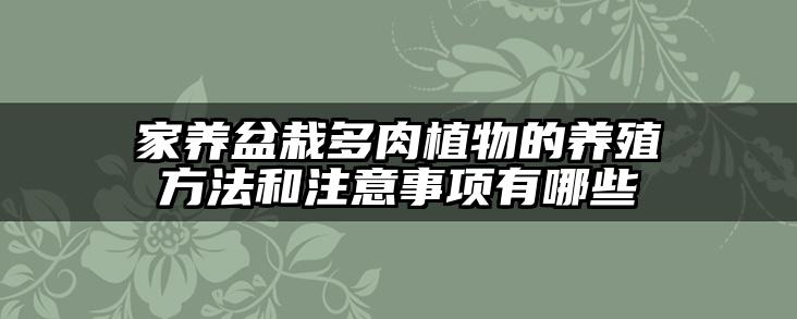 家养盆栽多肉植物的养殖方法和注意事项有哪些