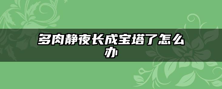 多肉静夜长成宝塔了怎么办