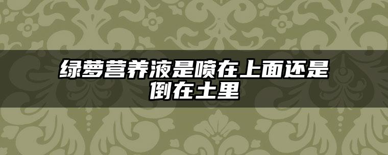 绿萝营养液是喷在上面还是倒在土里