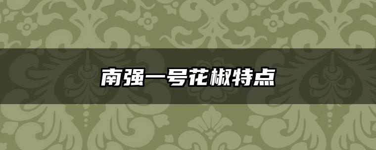 南强一号花椒特点