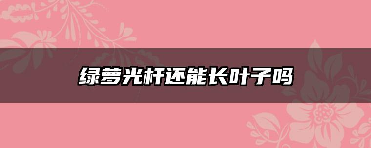 绿萝光杆还能长叶子吗