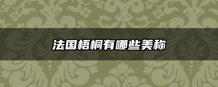 法国梧桐有哪些美称