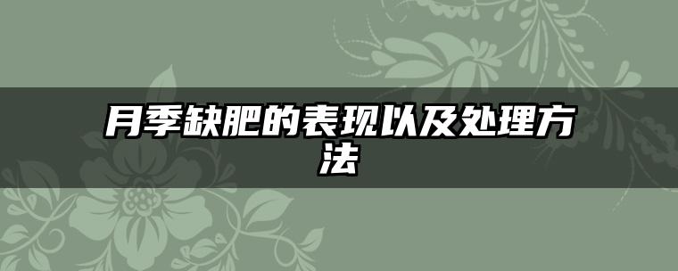 月季缺肥的表现以及处理方法