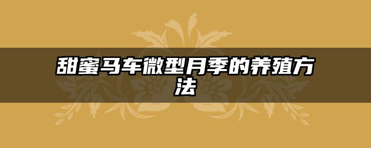 甜蜜马车微型月季的养殖方法