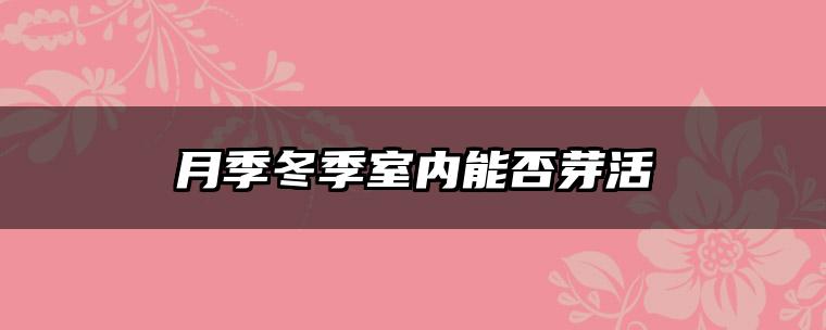 月季冬季室内能否芽活