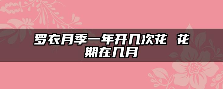 罗衣月季一年开几次花 花期在几月