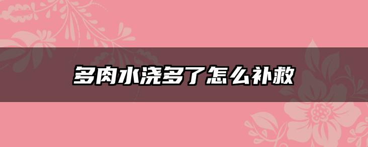 多肉水浇多了怎么补救