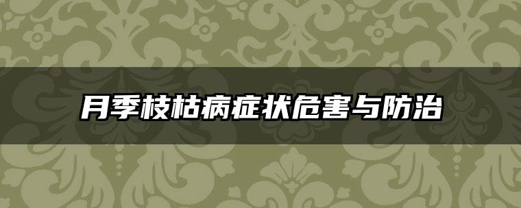 月季枝枯病症状危害与防治