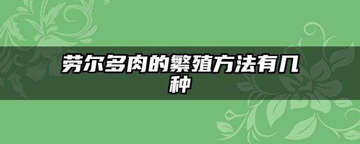 劳尔多肉的繁殖方法有几种