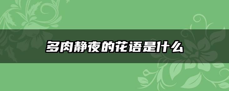 多肉静夜的花语是什么