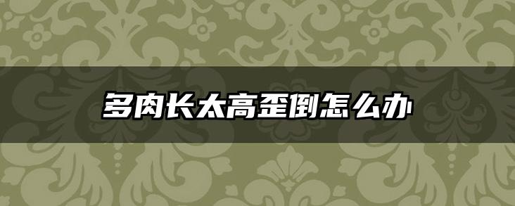 多肉长太高歪倒怎么办