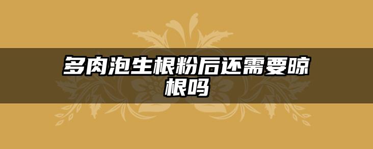 多肉泡生根粉后还需要晾根吗