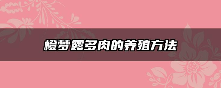 橙梦露多肉的养殖方法