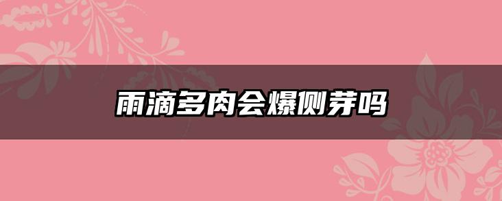 雨滴多肉会爆侧芽吗