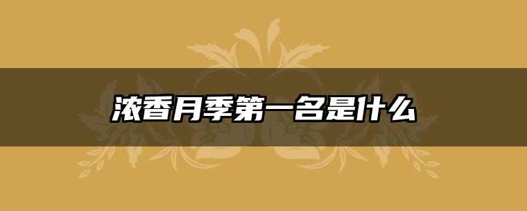 浓香月季第一名是什么
