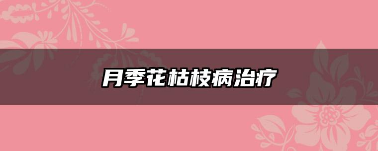 月季花枯枝病治疗