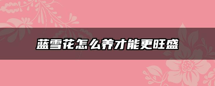 蓝雪花怎么养才能更旺盛