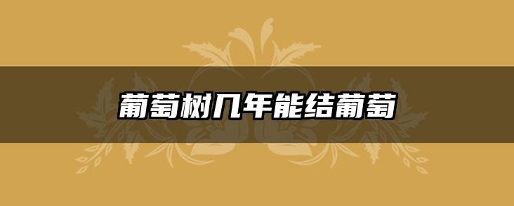 葡萄树几年能结葡萄