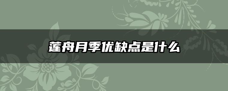 莲舟月季优缺点是什么