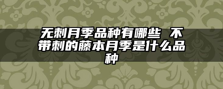 无刺月季品种有哪些 不带刺的藤本月季是什么品种