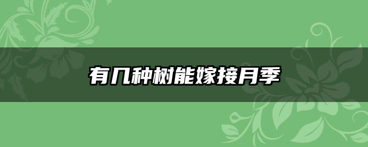 有几种树能嫁接月季