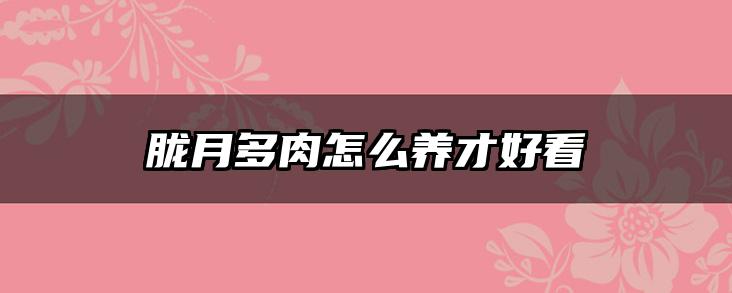 胧月多肉怎么养才好看