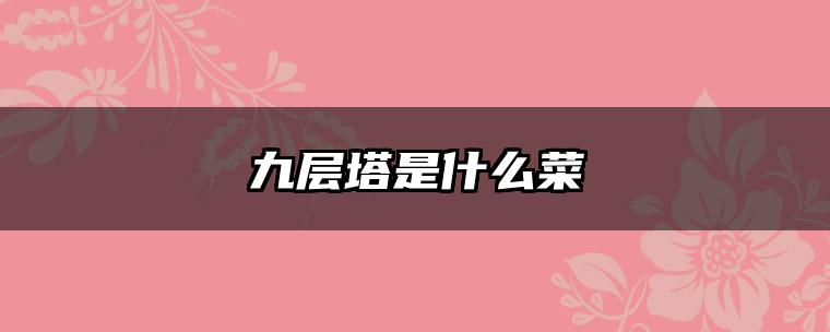 九层塔是什么菜