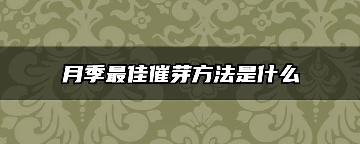 月季最佳催芽方法是什么