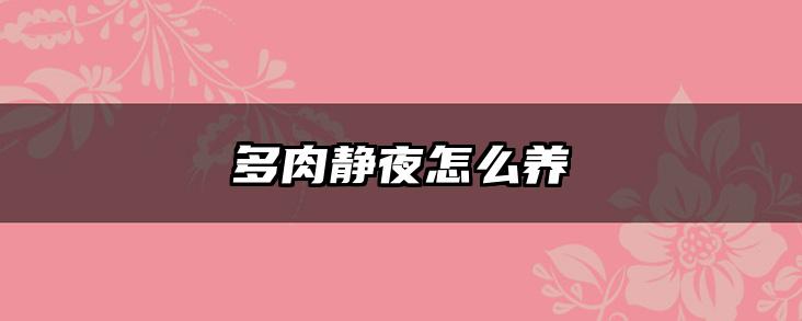 多肉静夜怎么养