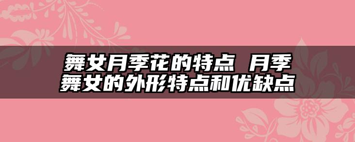 舞女月季花的特点 月季舞女的外形特点和优缺点