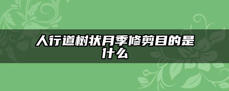 人行道树状月季修剪目的是什么